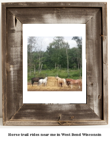 horse trail rides near me in West Bend, Wisconsin